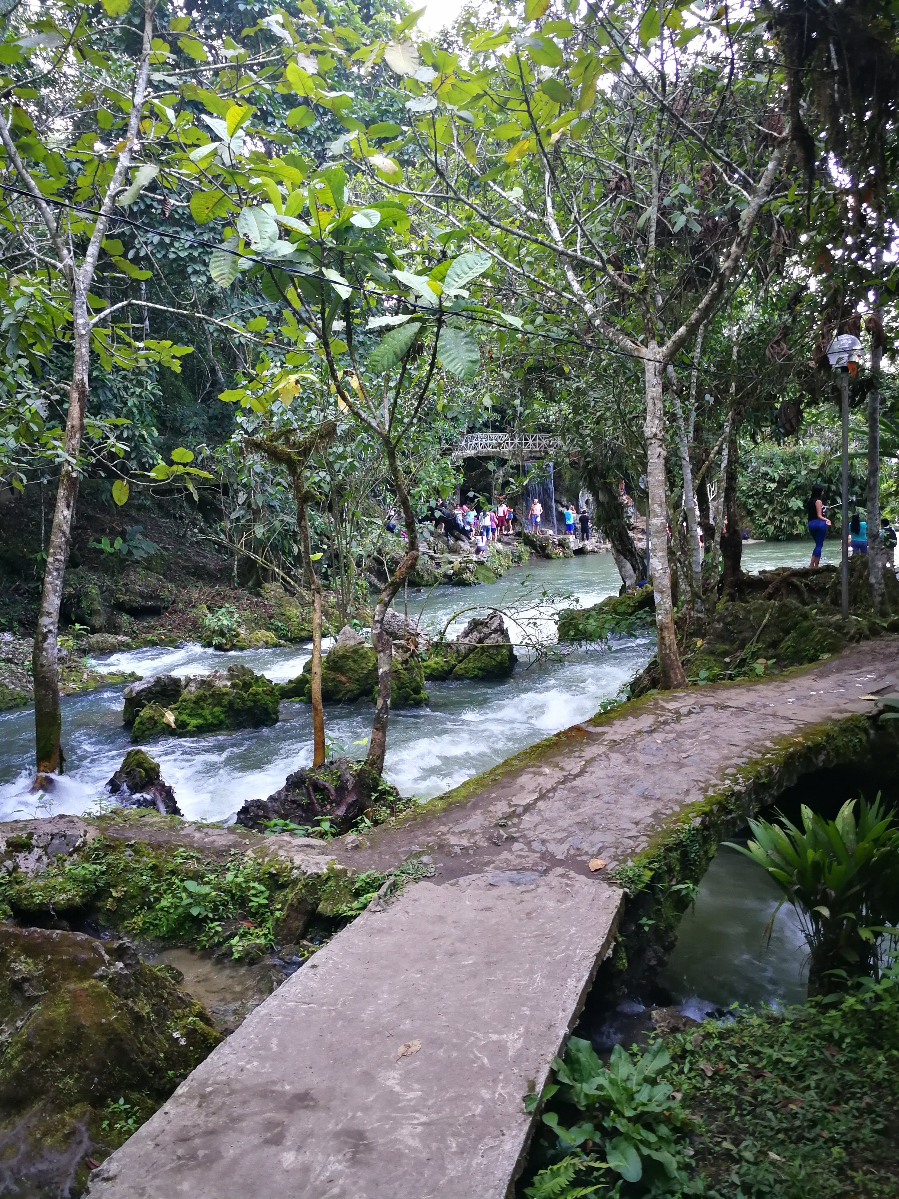 Centro turístico Tio Yacu 12