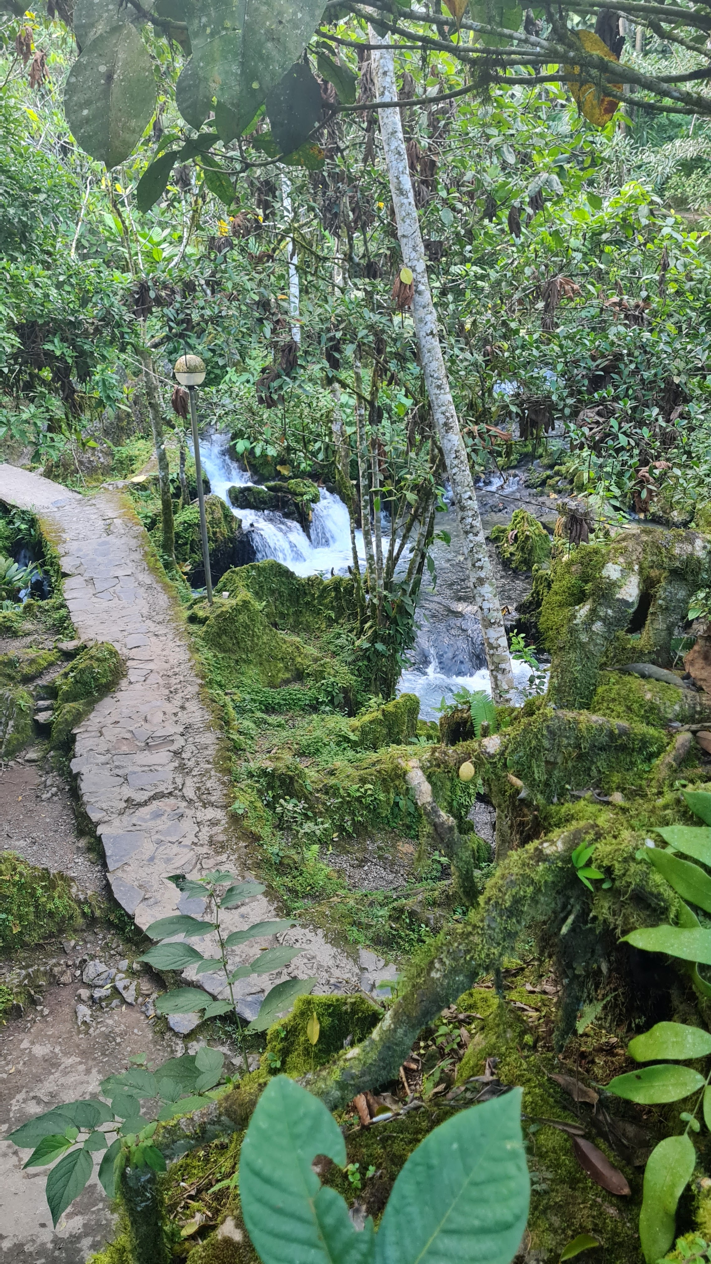 Centro turístico Tio Yacu 4